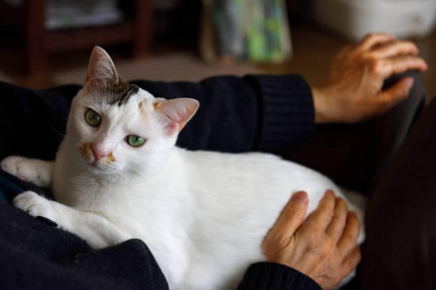 家族参加アイコン