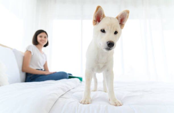 専門ワークショップ