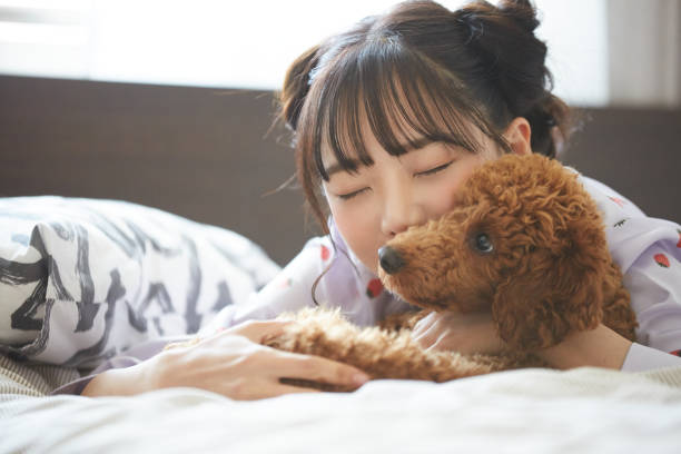 ワークショップ