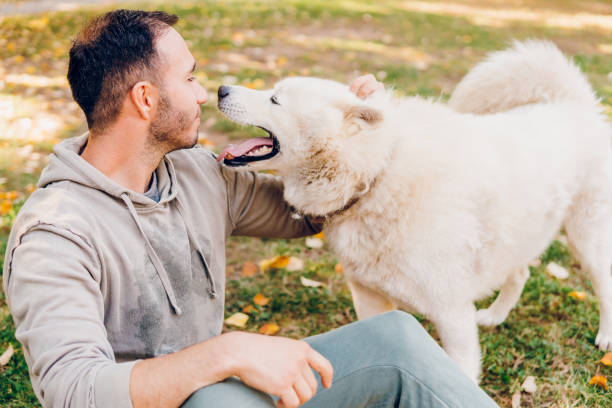 コミュニケーションアイコン